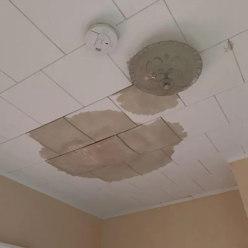 Ceiling Water Damage Repair in Jeffersonville, OH