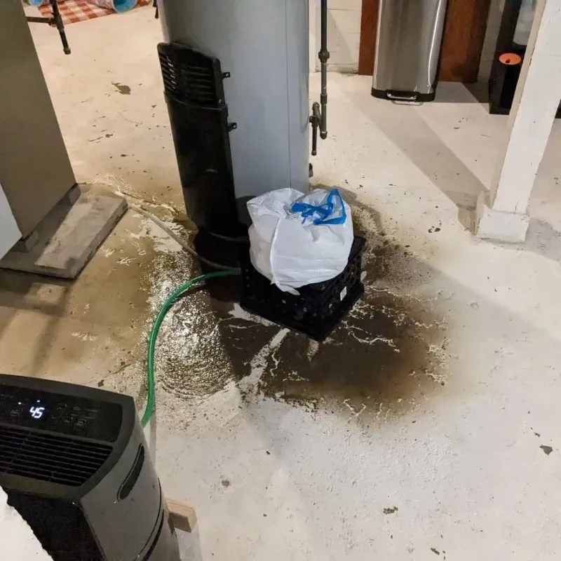 Sewage Backup Cleanup Service in Jeffersonville, OH